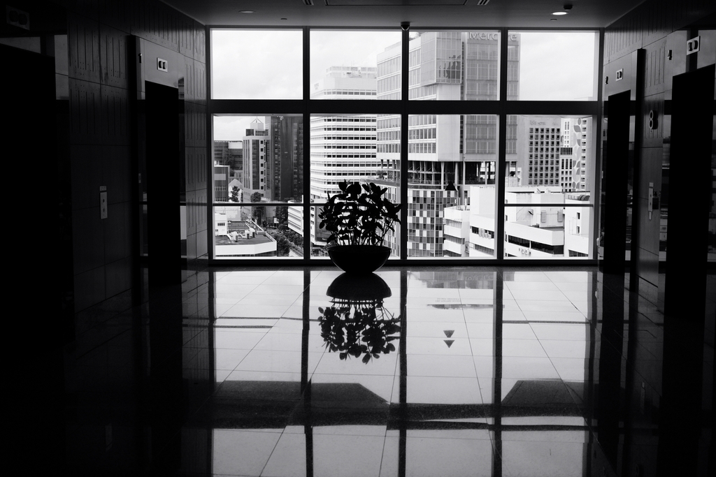 Black and white photograph of a lift lobby, with the silhouette of a potted plant against a large window, light pouring in and reflecting off the tiles.